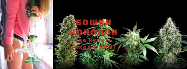 герыч Алапаевск