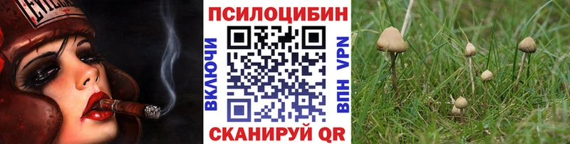где найти наркотики  Вилюйск  Галлюциногенные грибы мухоморы 